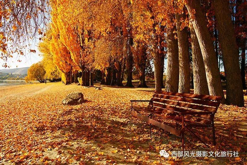 队报:沙特联赛正讨论将本泽马转至一家位于利雅得的球队