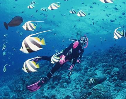 液化天然气站养海鲜？走！去现场看看