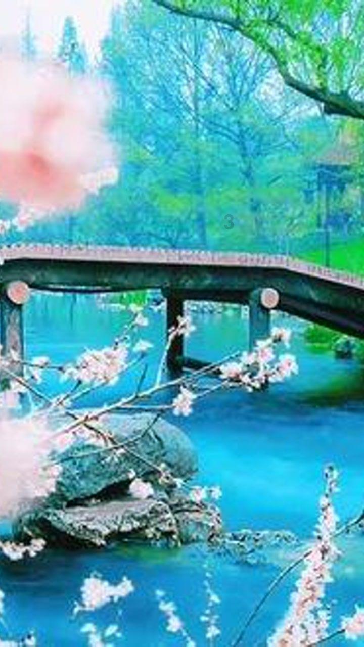 武魂2